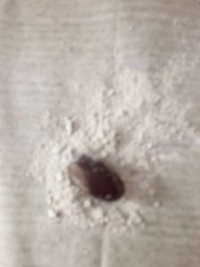 2016-04-24-PHOTO-00002909
