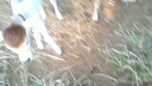 2016-04-27-PHOTO-00002997