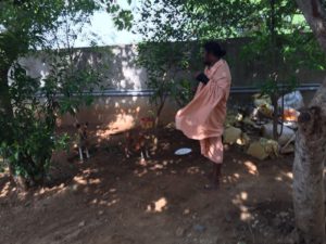 2016-05-23-PHOTO-00003234
