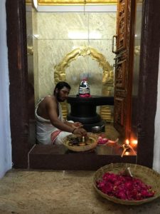 WhatsApp Image 2017-11-18 at 9.22.54 PM (1)