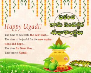 WhatsApp Image 2018-03-17 at 12.39.15 PM
